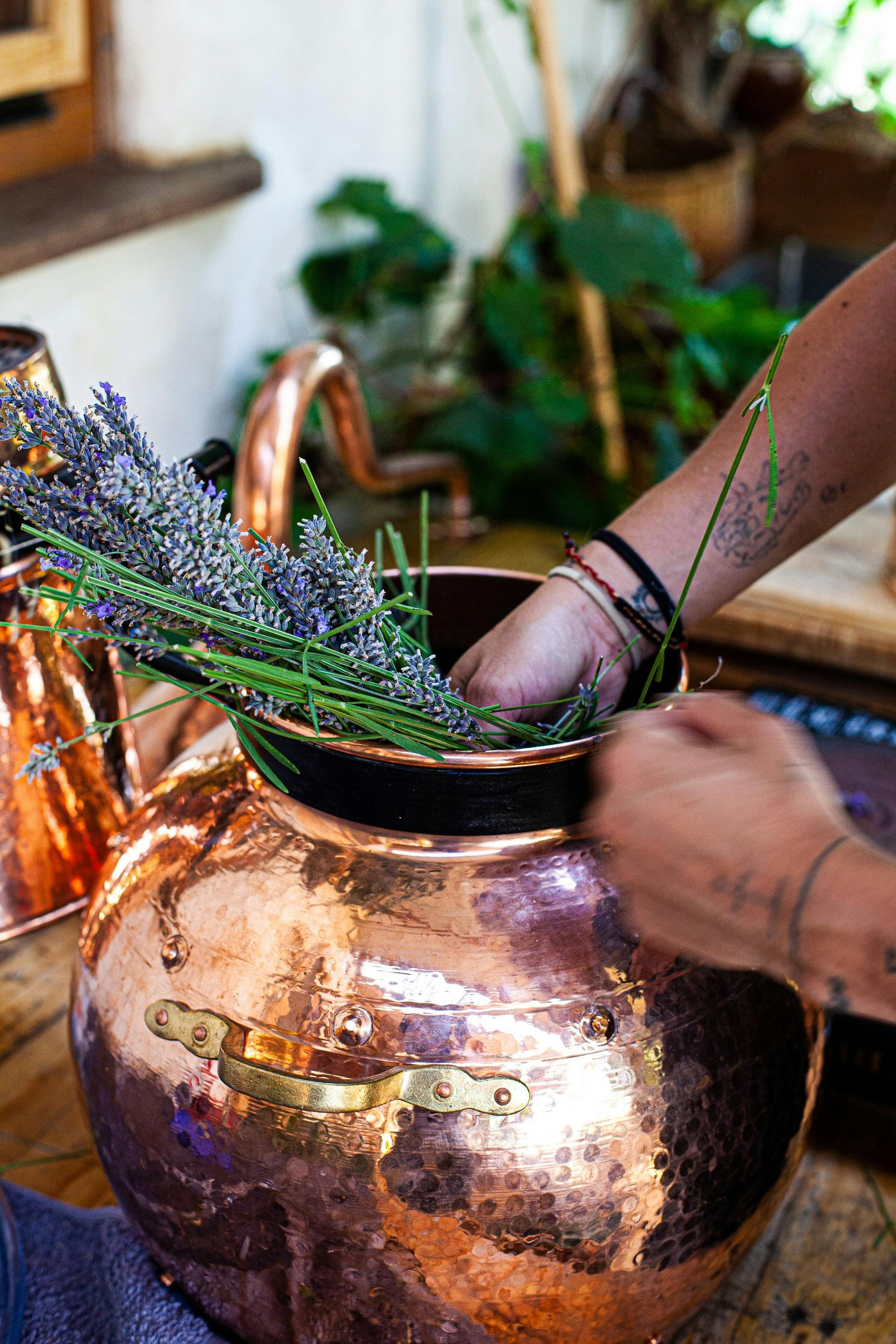Make soap, extract essential oil, and local soap making history