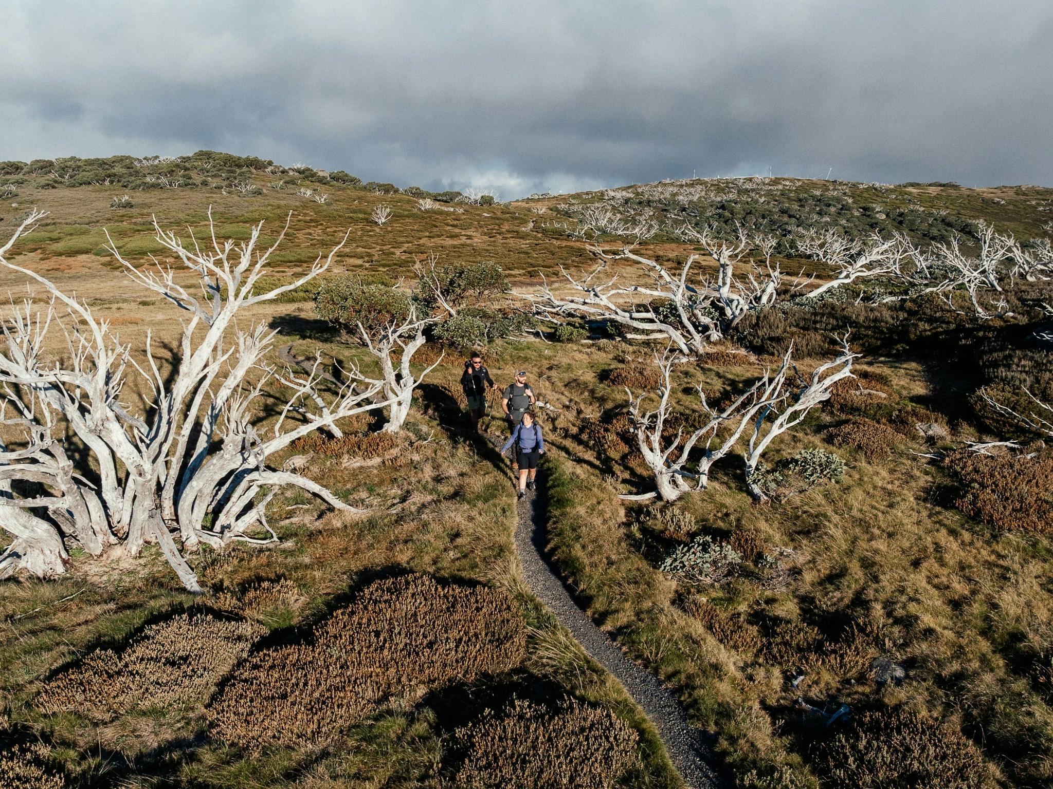a drone shot looking down at people on a single trail on a mountain ridge top