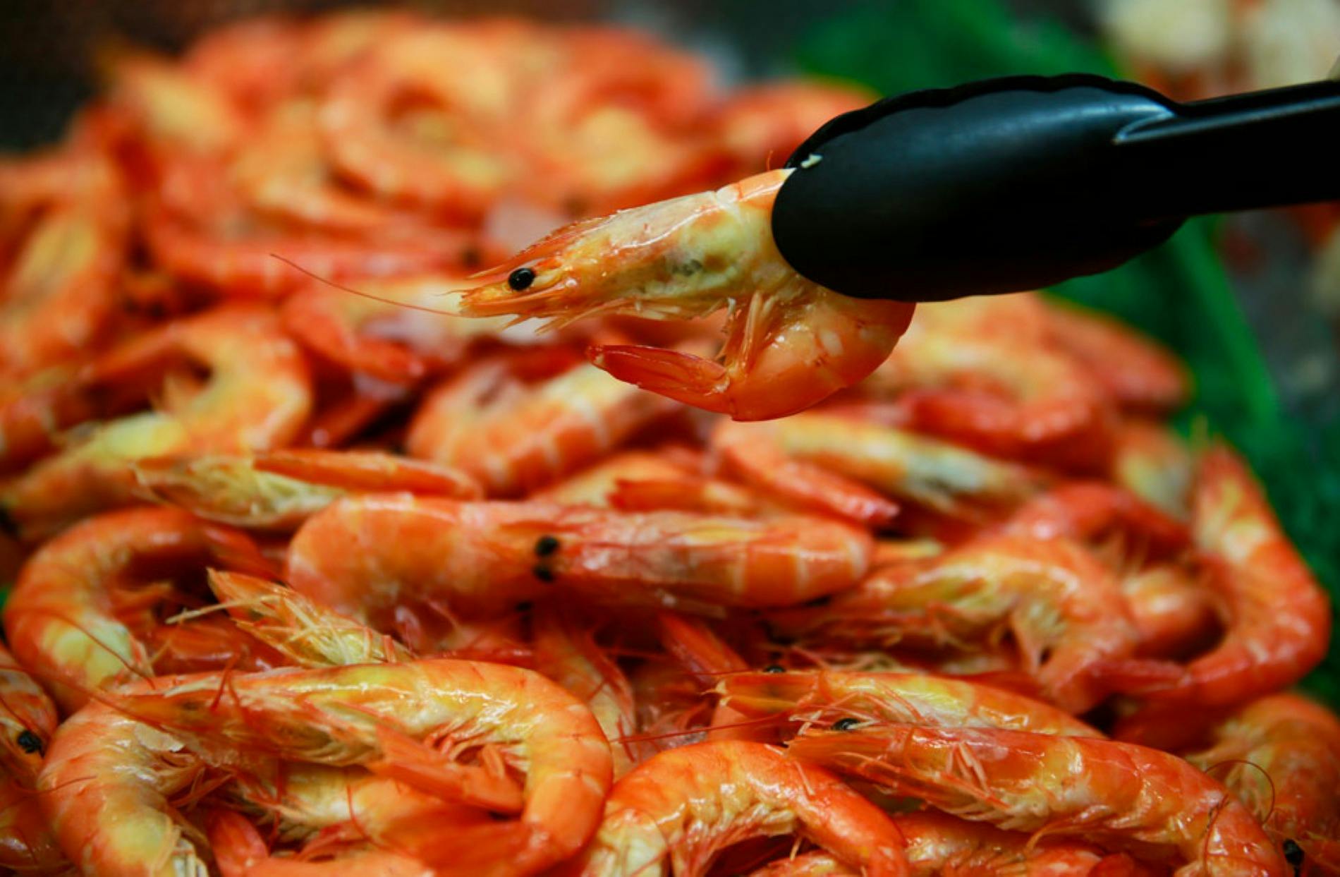 博斯利公園星級自助餐