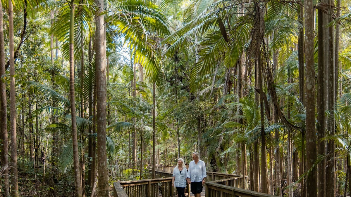 Buderim Forest Park, Buderim, Sunshine Coast