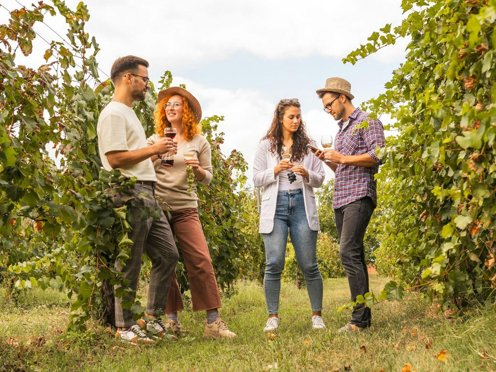People drinking wine in vineyard
