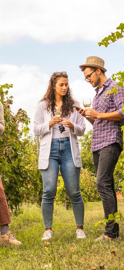 People drinking wine in vineyard