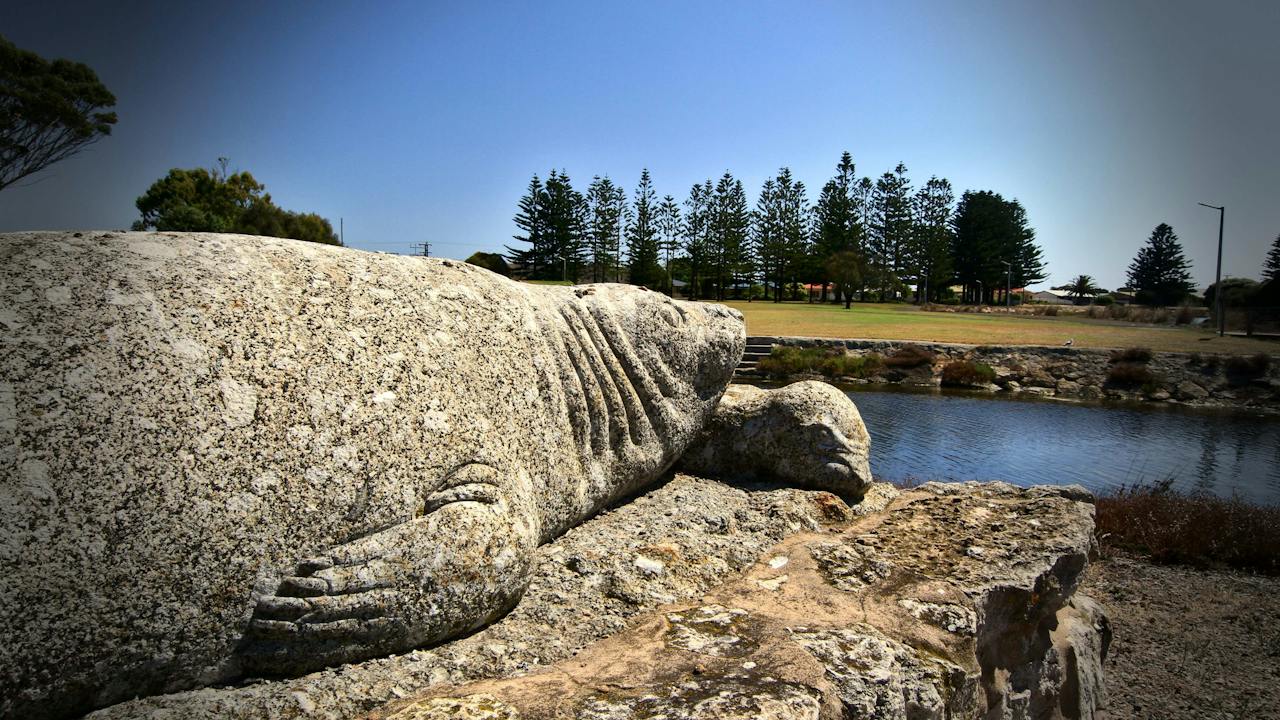 Seal