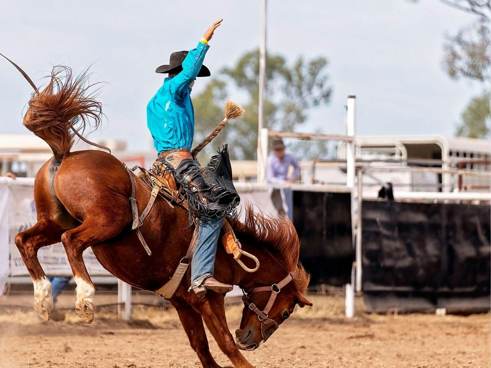 Byron Rodeo