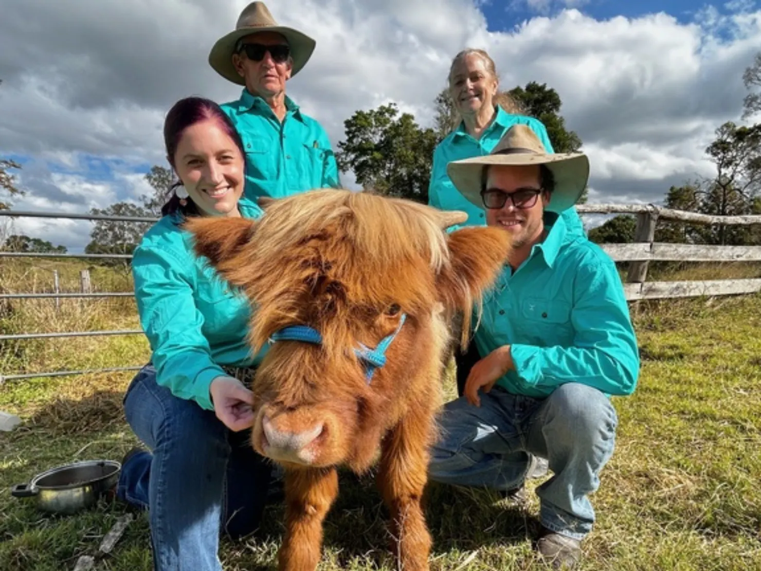 Highland cow in a halter with the farm owners