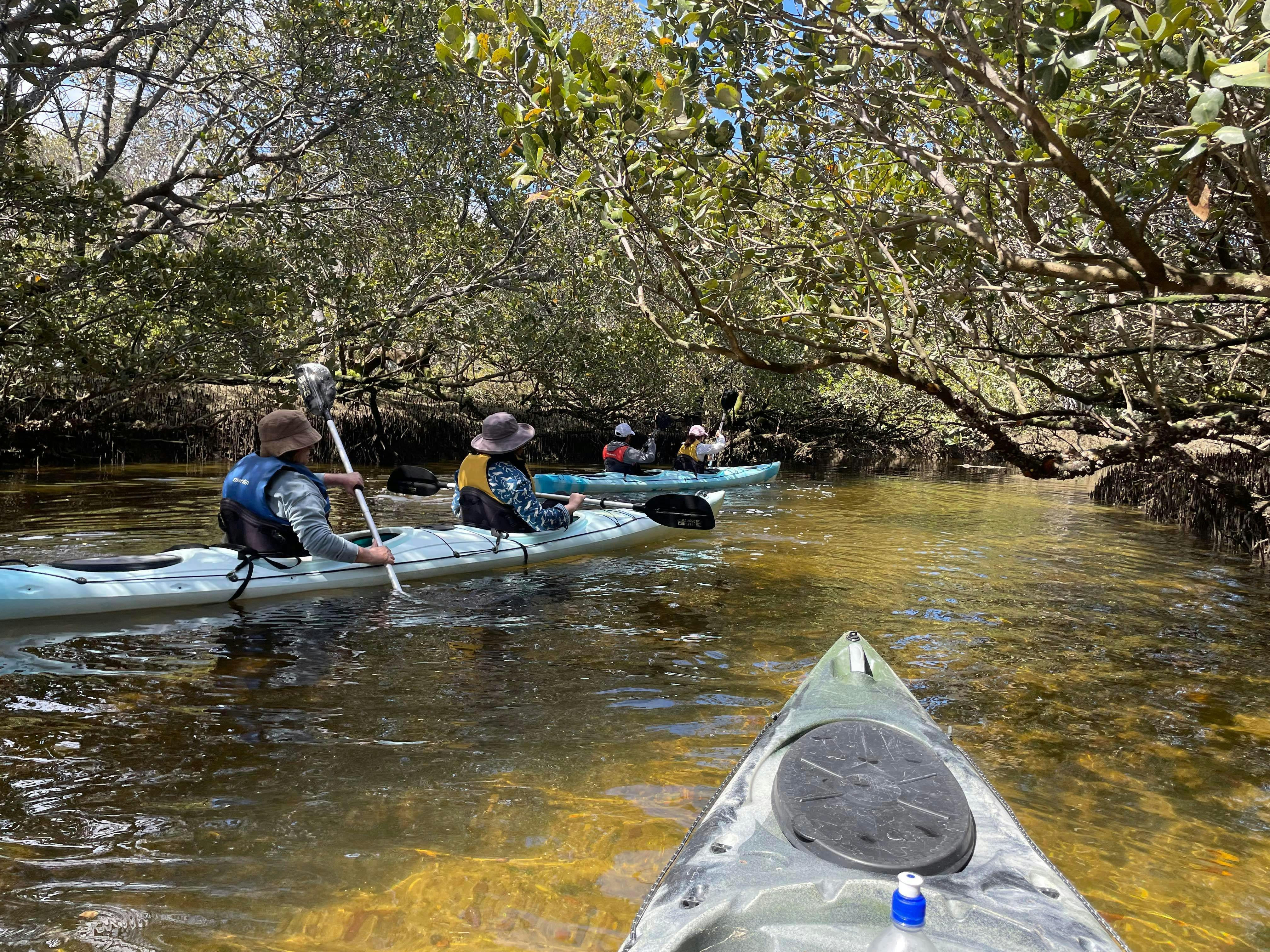 kayak creeks
