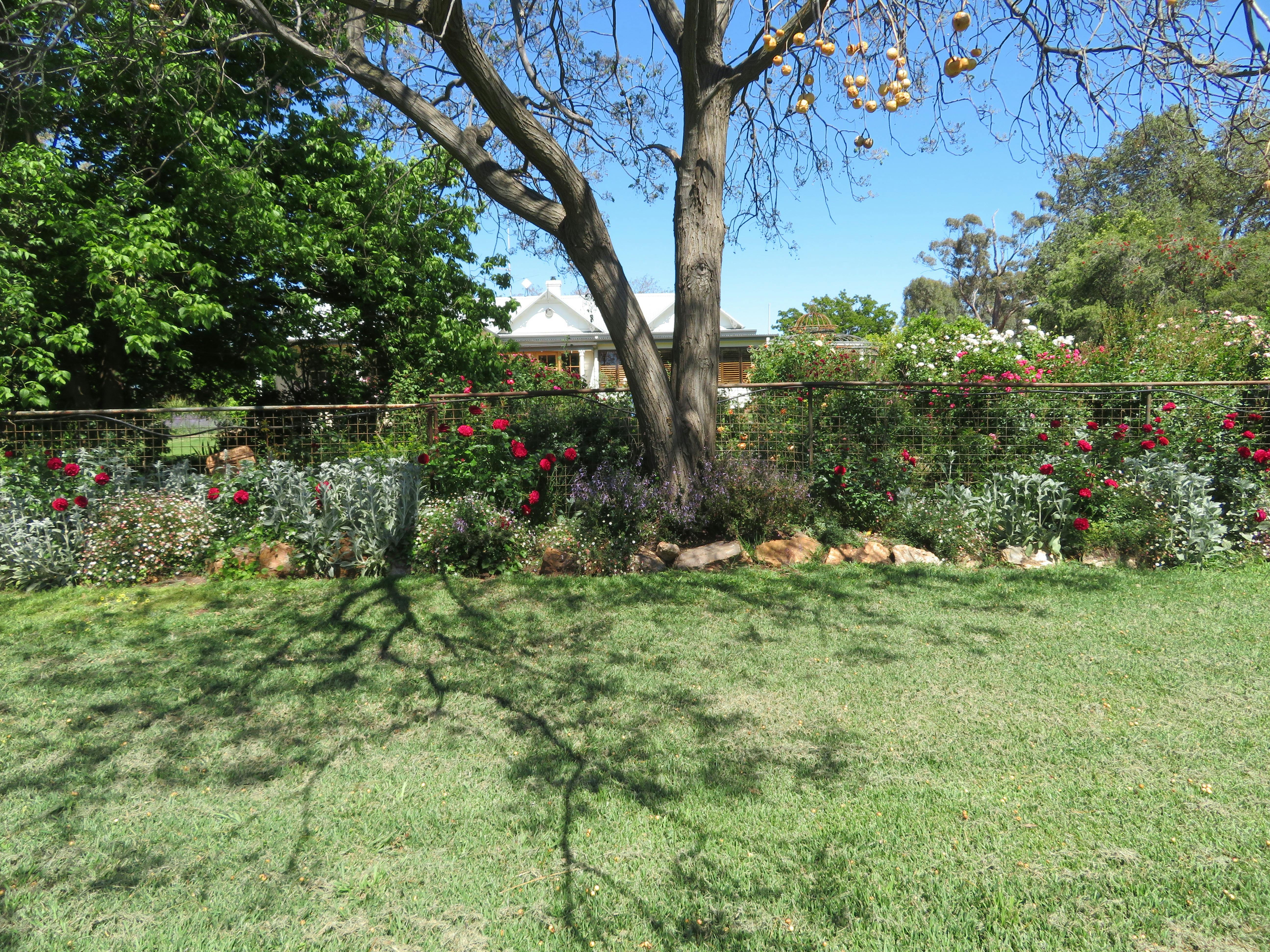 Hazeldean Quandary near Temora