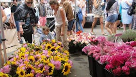 Bondi Markets