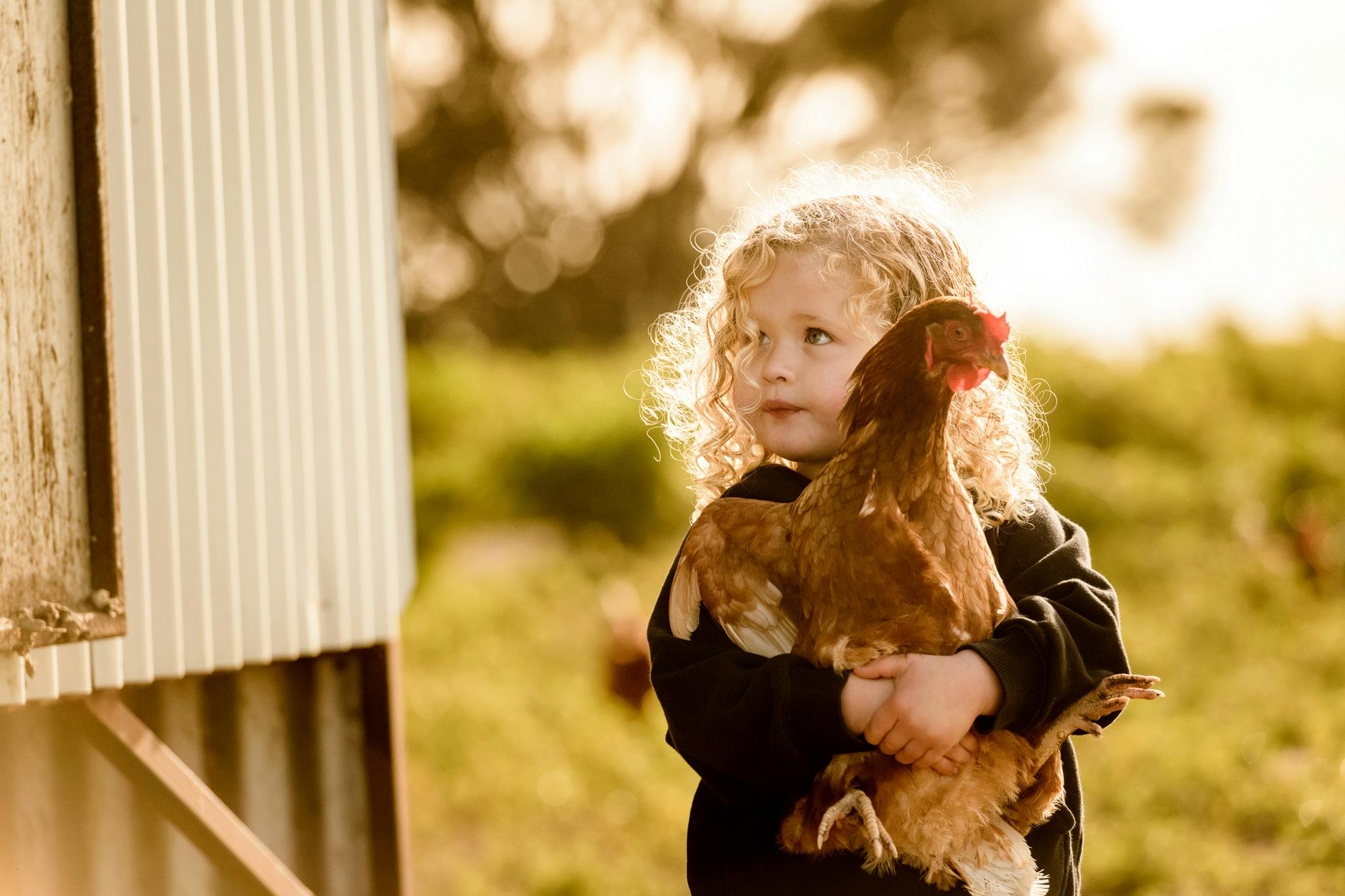Girl with a chicken
