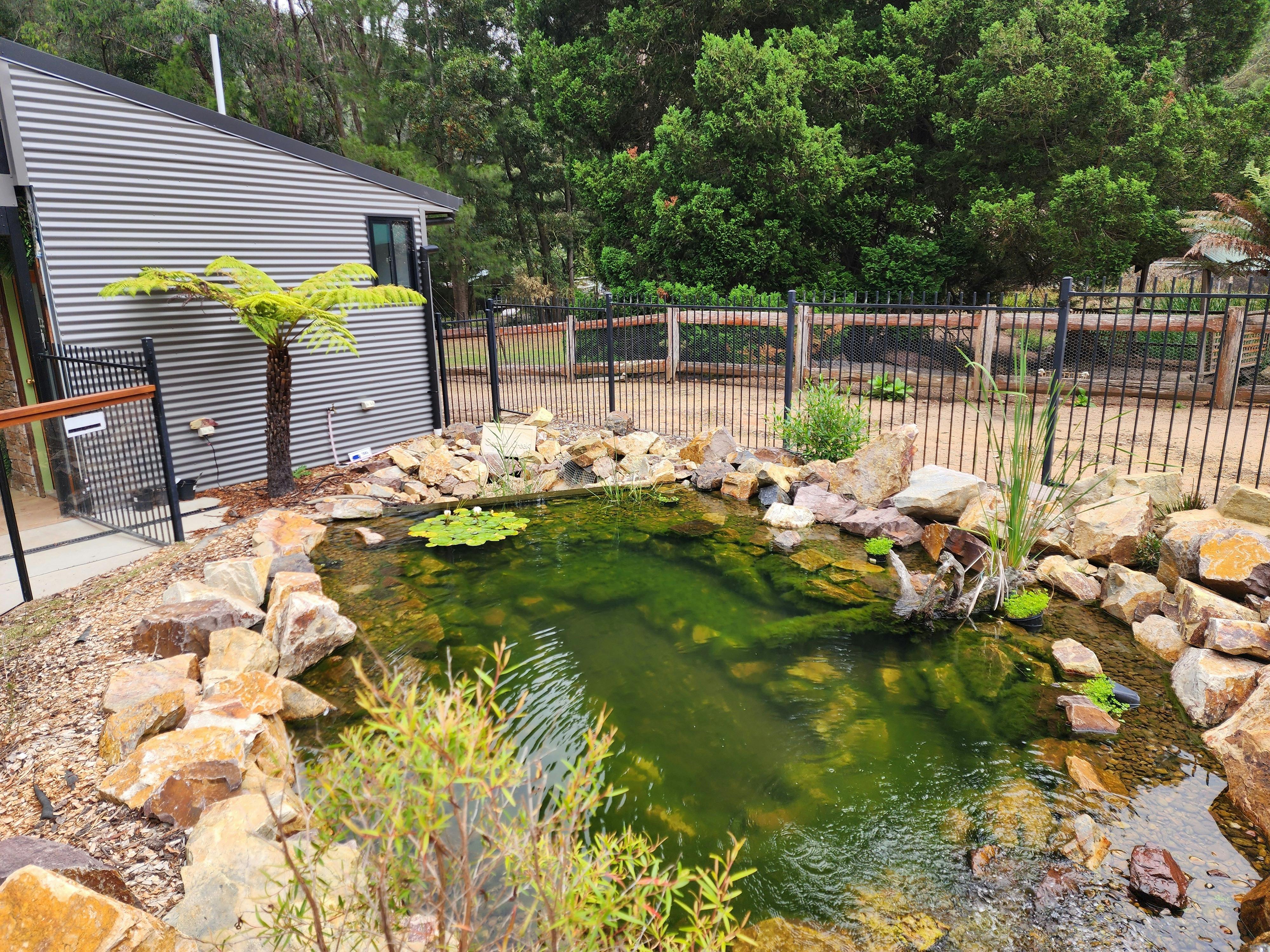 freshwater pond for native fish