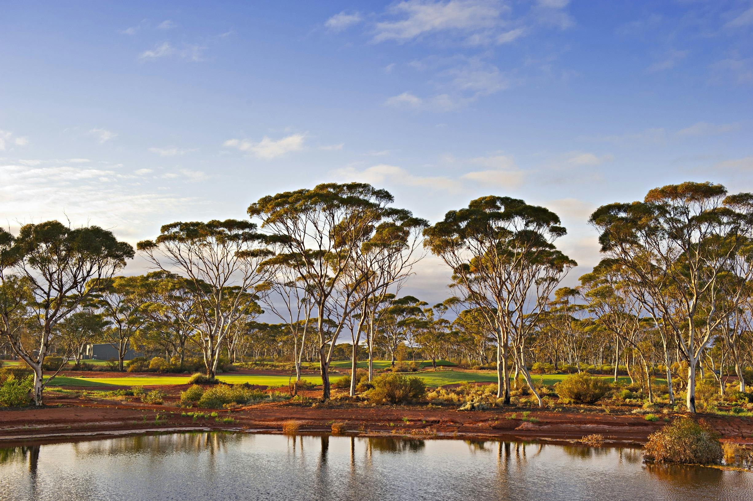 Goldfields Wildflower Trail, Kalgoorlie, Western Australia