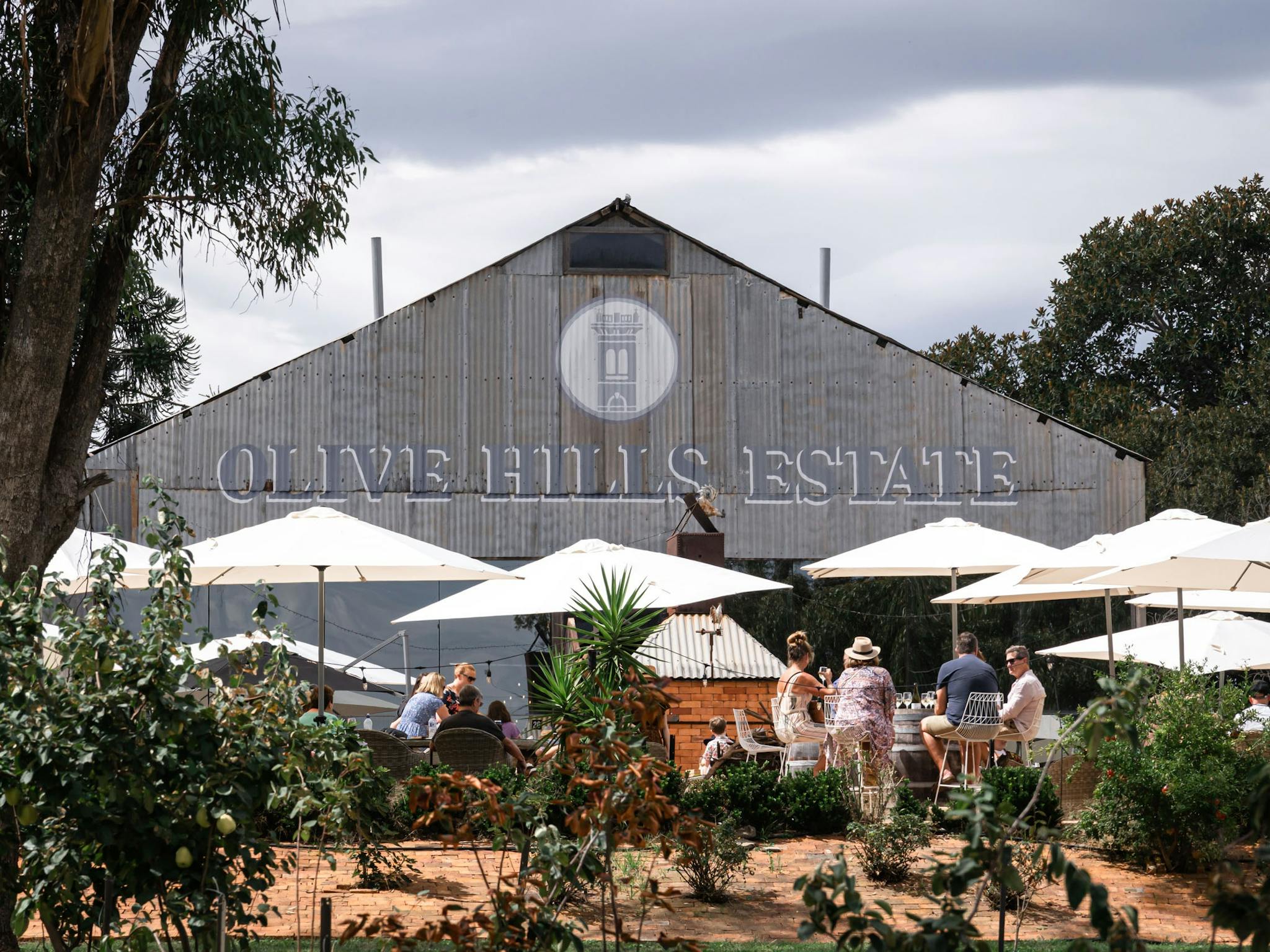 Olive Hills Winery