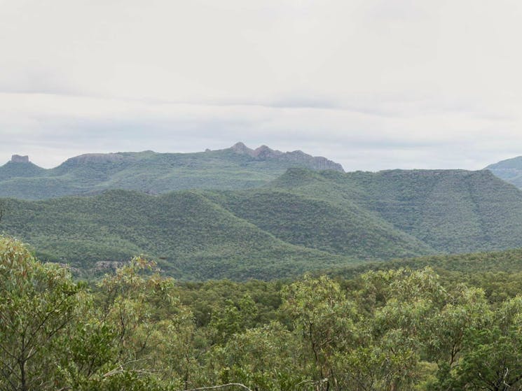 Deriah Aboriginal Information Bay