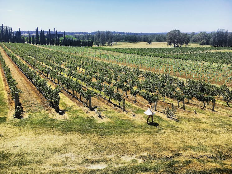 Hunter Valley