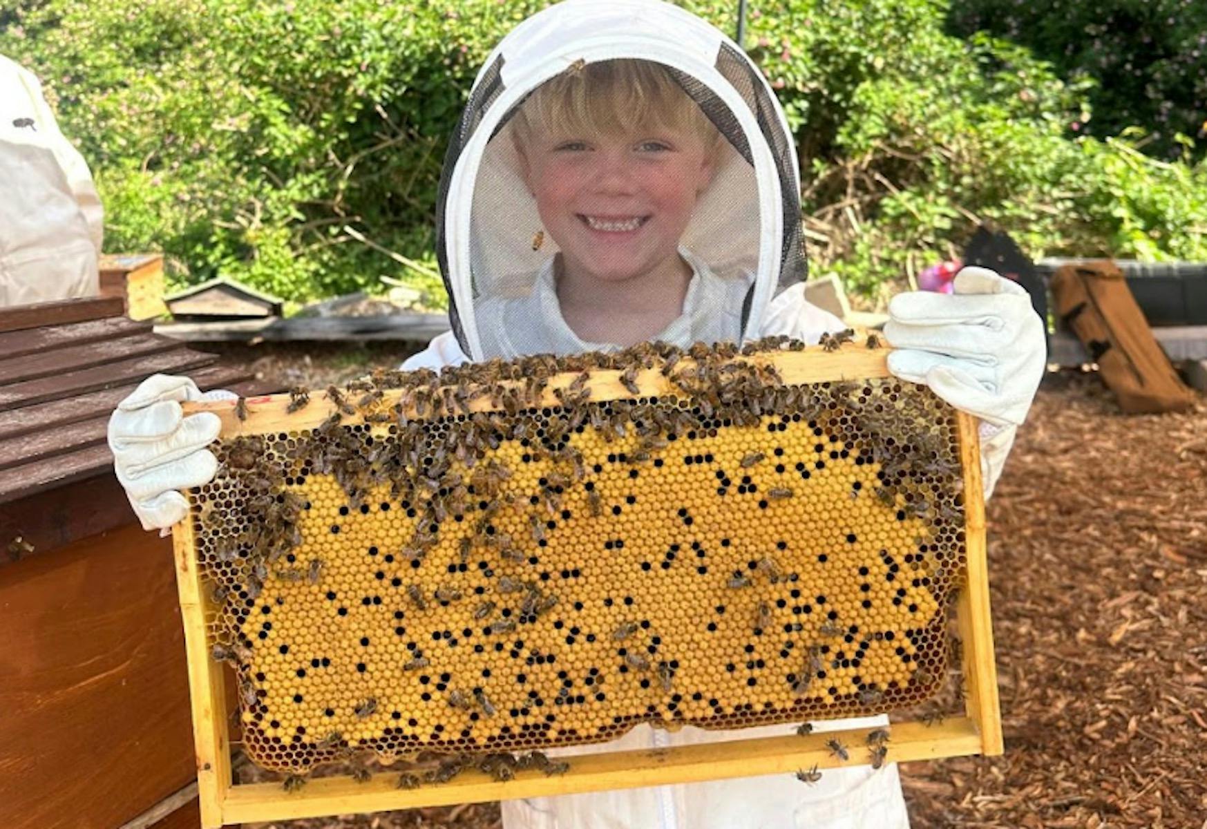 Bee School Holiday Workshops