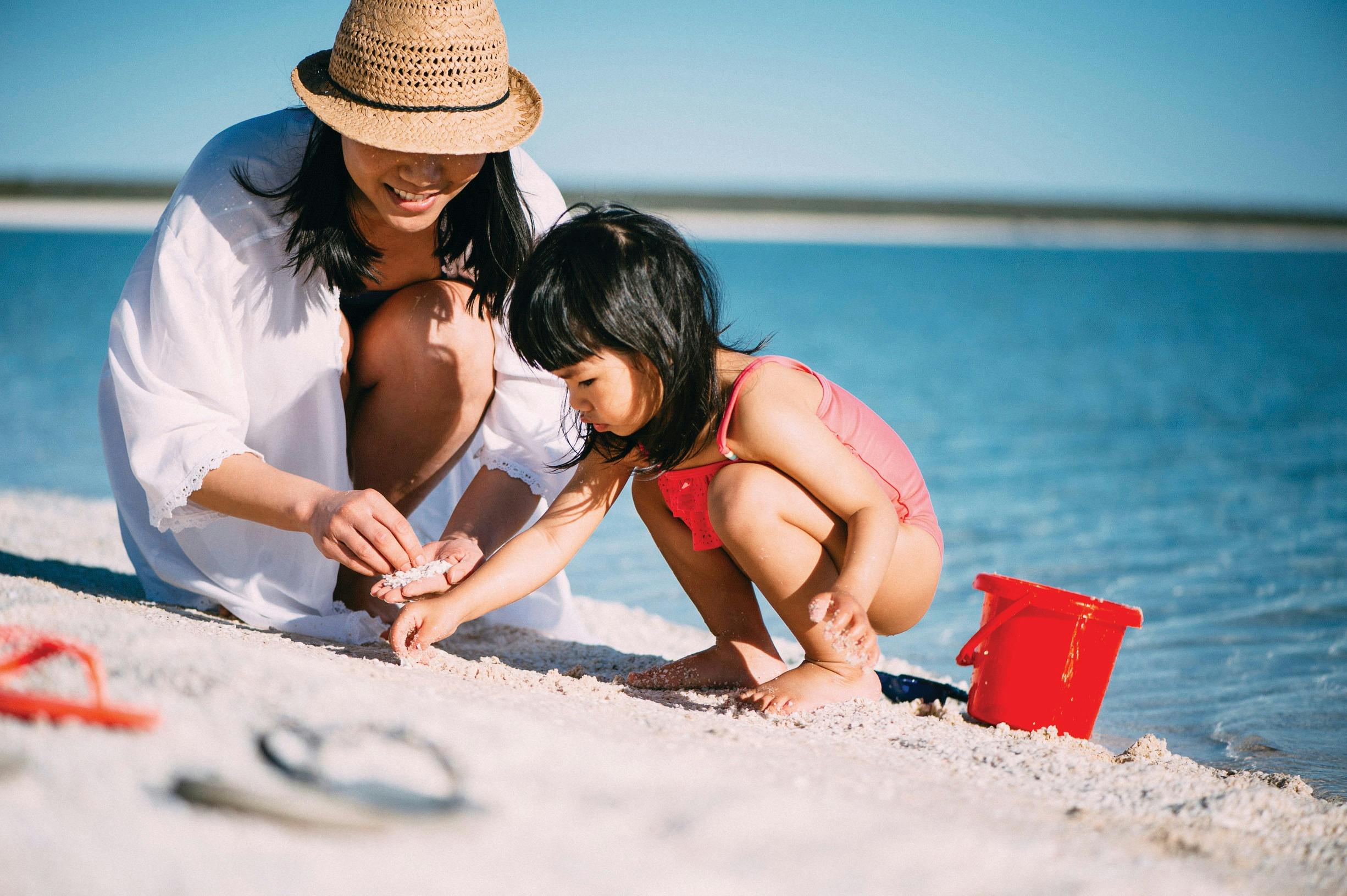 Northern Explorer Wildflower Trail, Denham, Western Australia