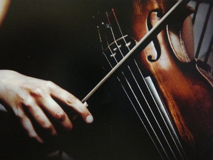 Camerata violinist
