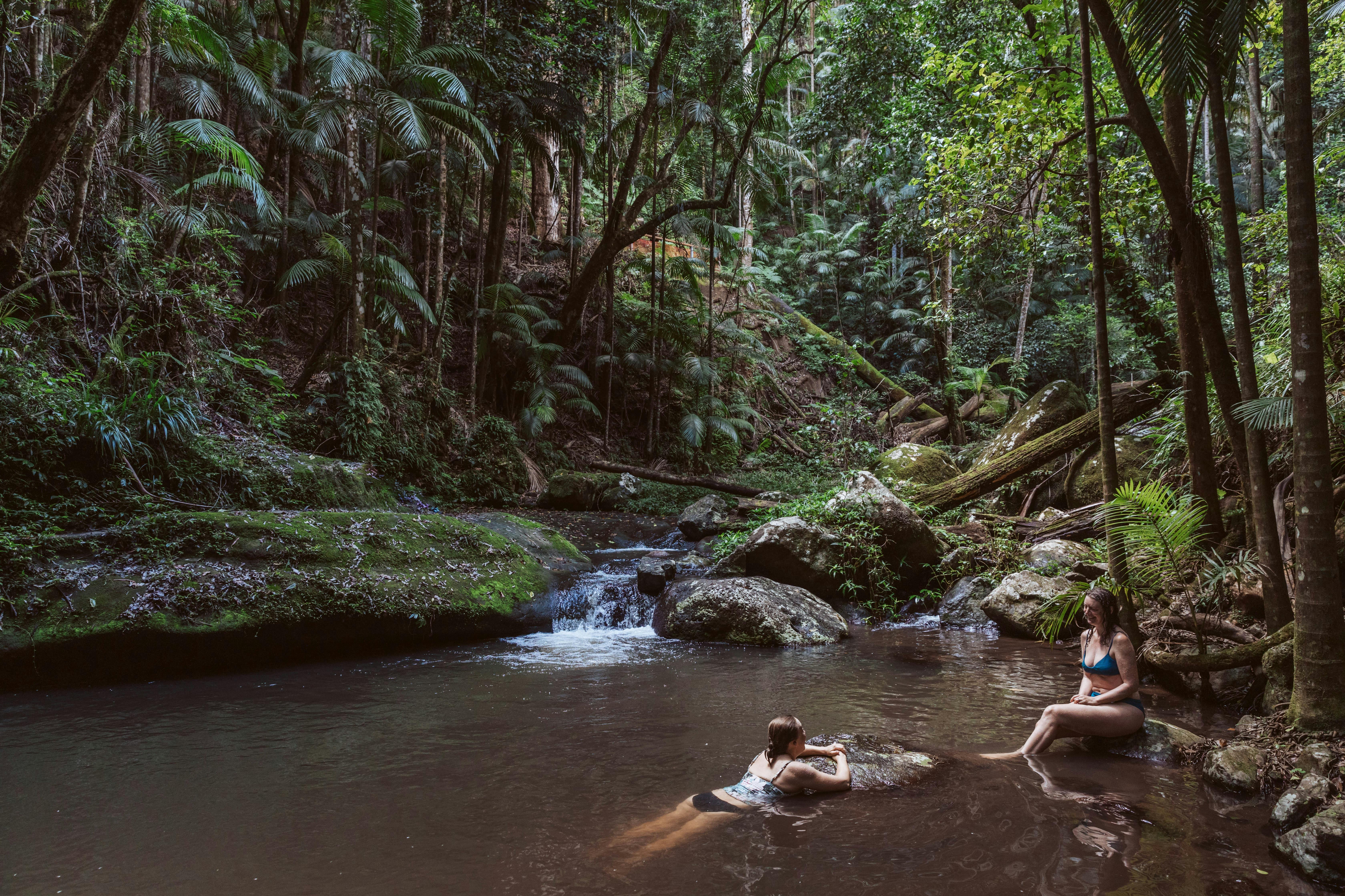 两个人正在雨林水坑里放松
