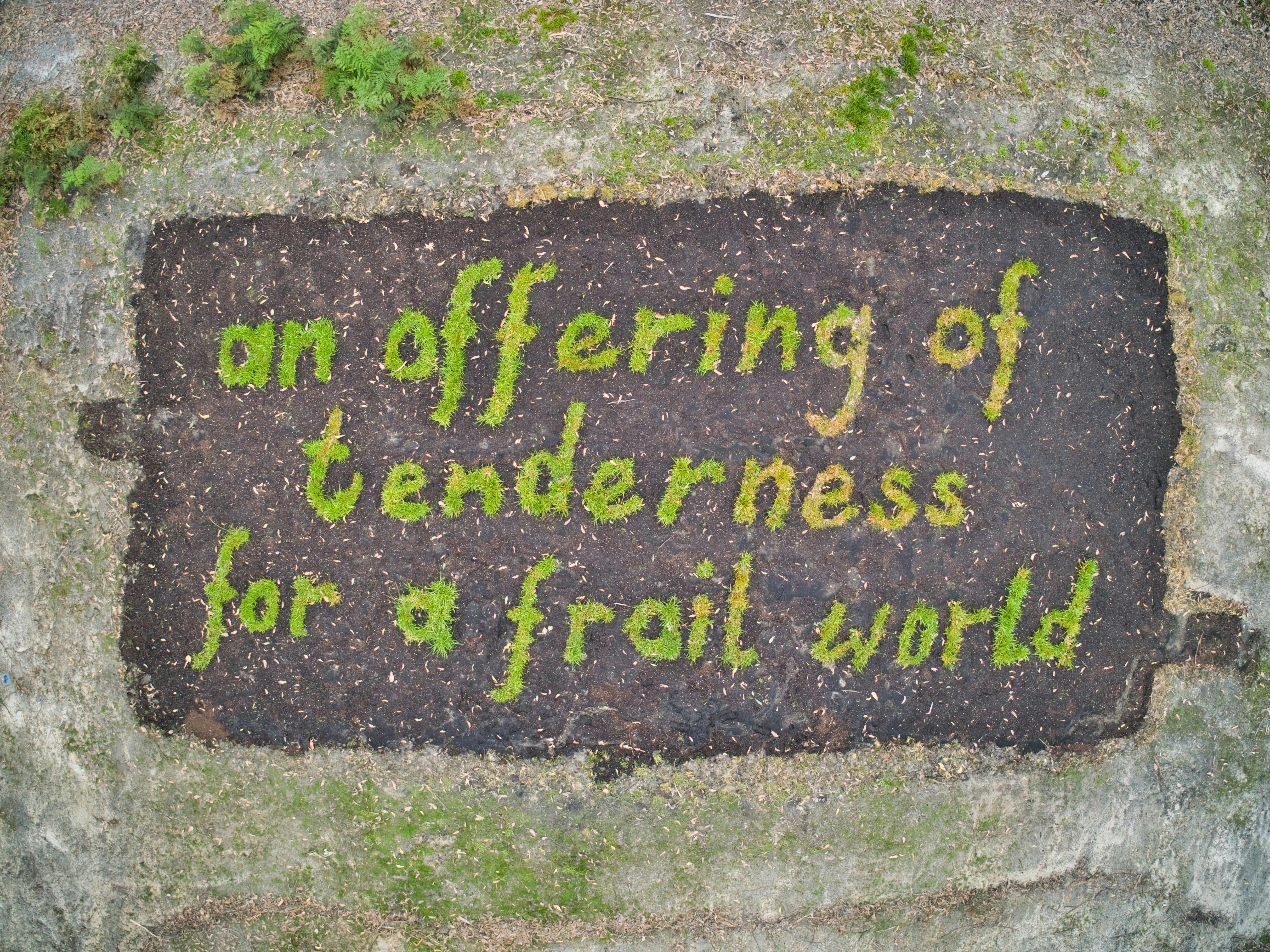 Artwork by White Field at Art Farm Birchs Bay