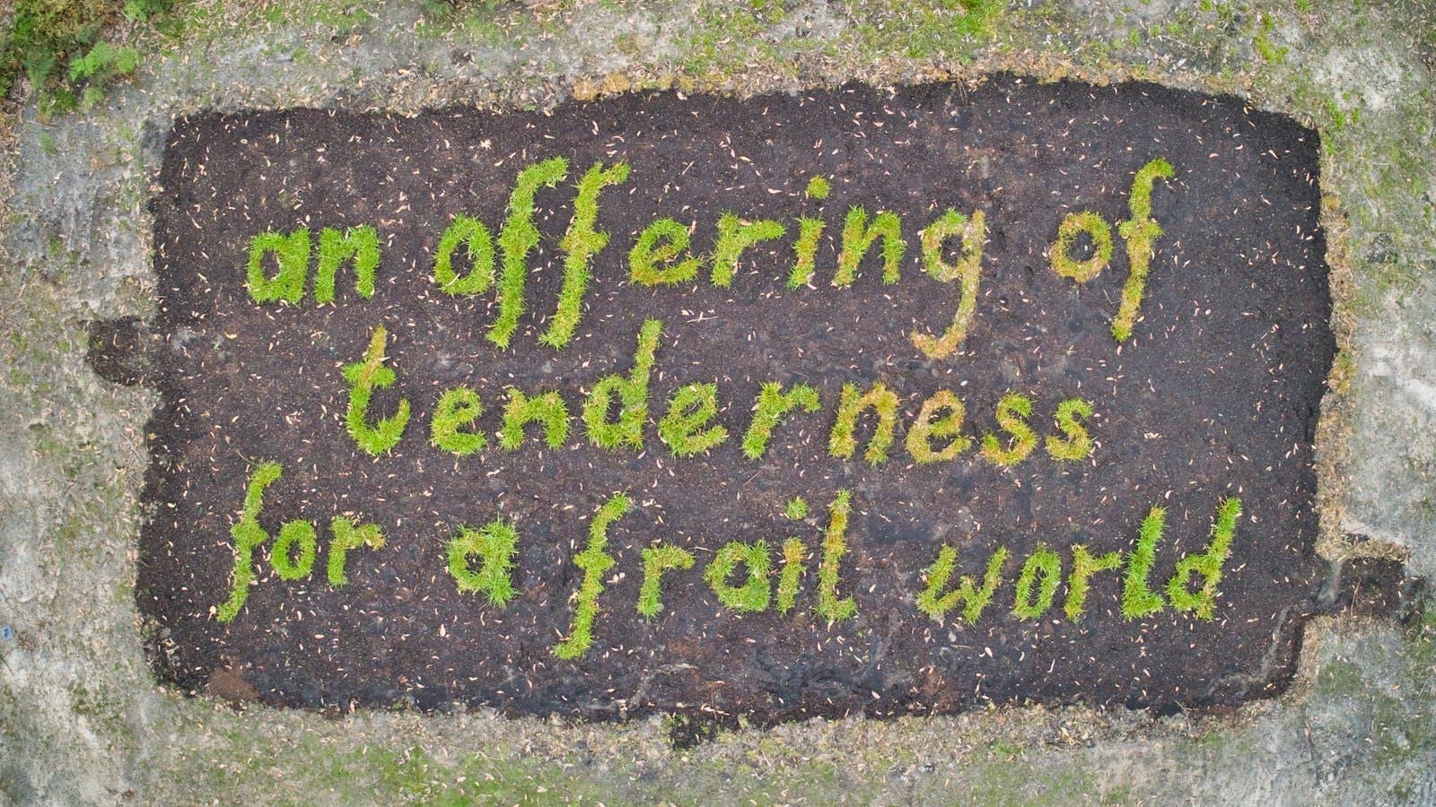 Artwork by White Field at Art Farm Birchs Bay