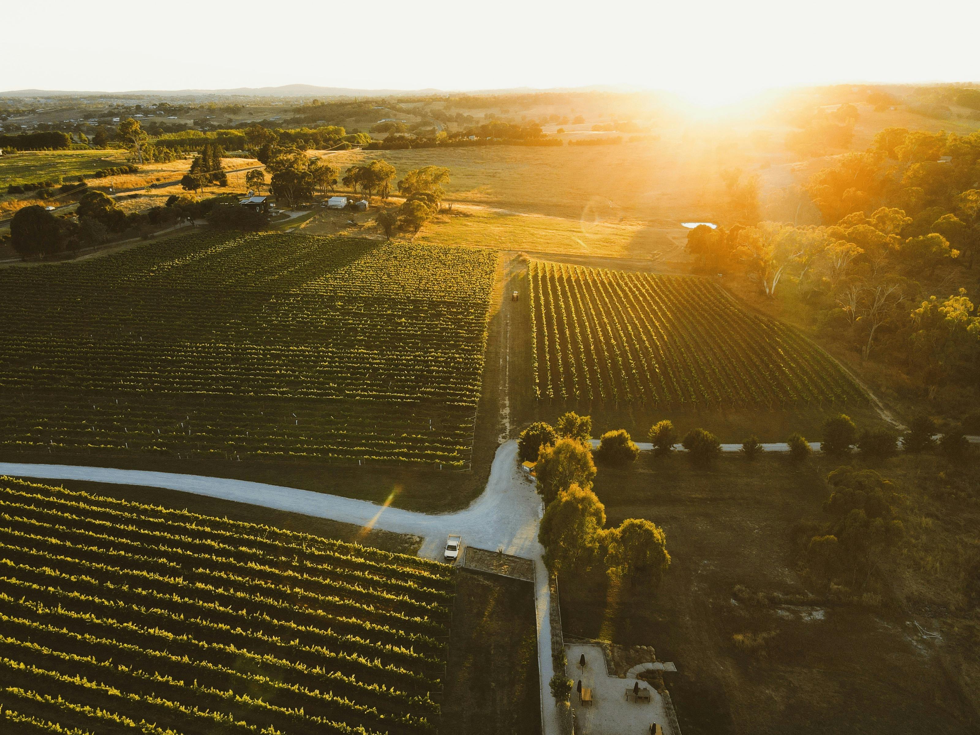 스윙잉 브리지의 카노볼라 산의 구릉