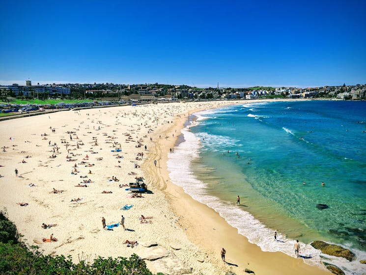 Tour Sydney to Bondi beach with Personalised Sydney Tours