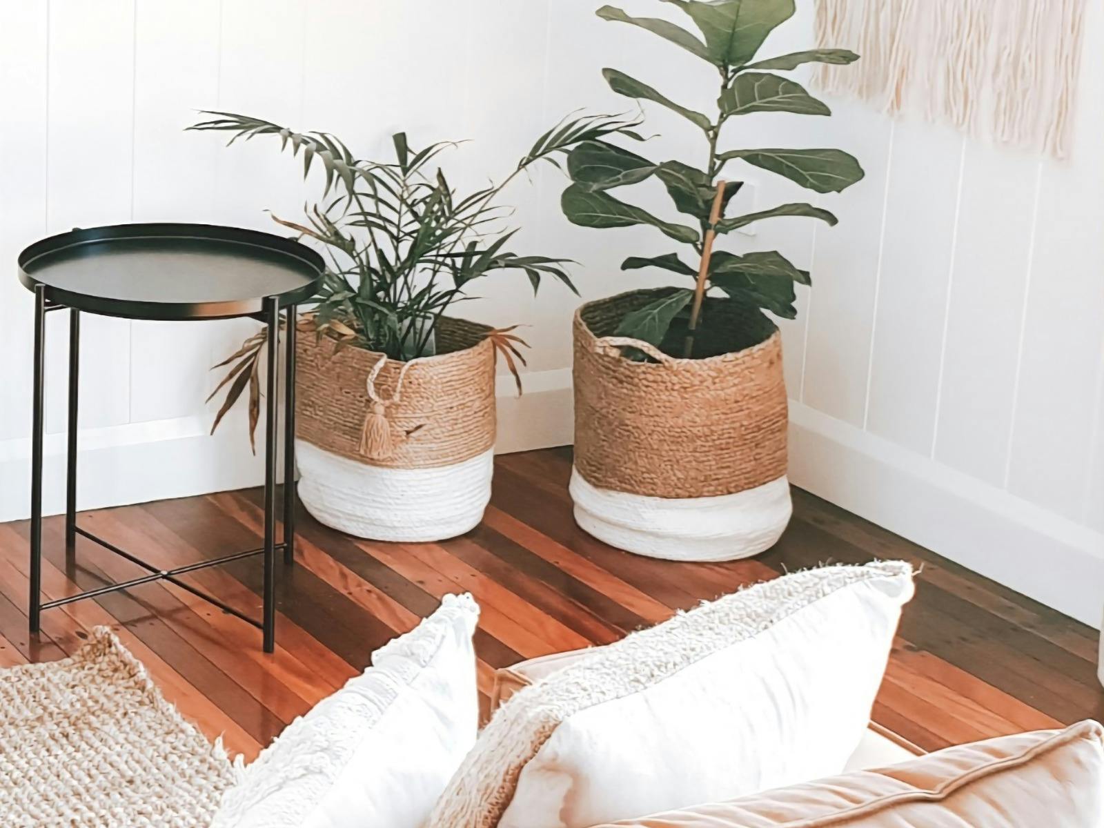 Image of pillows, rug, table and potted indoor plants with macrame hanger
