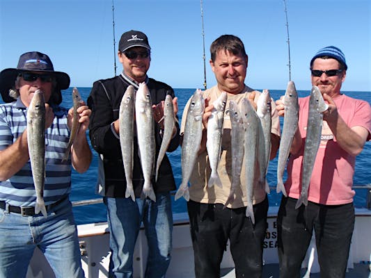 Standard Full Day Deep Sea Fishing Charter, Tour Service | South