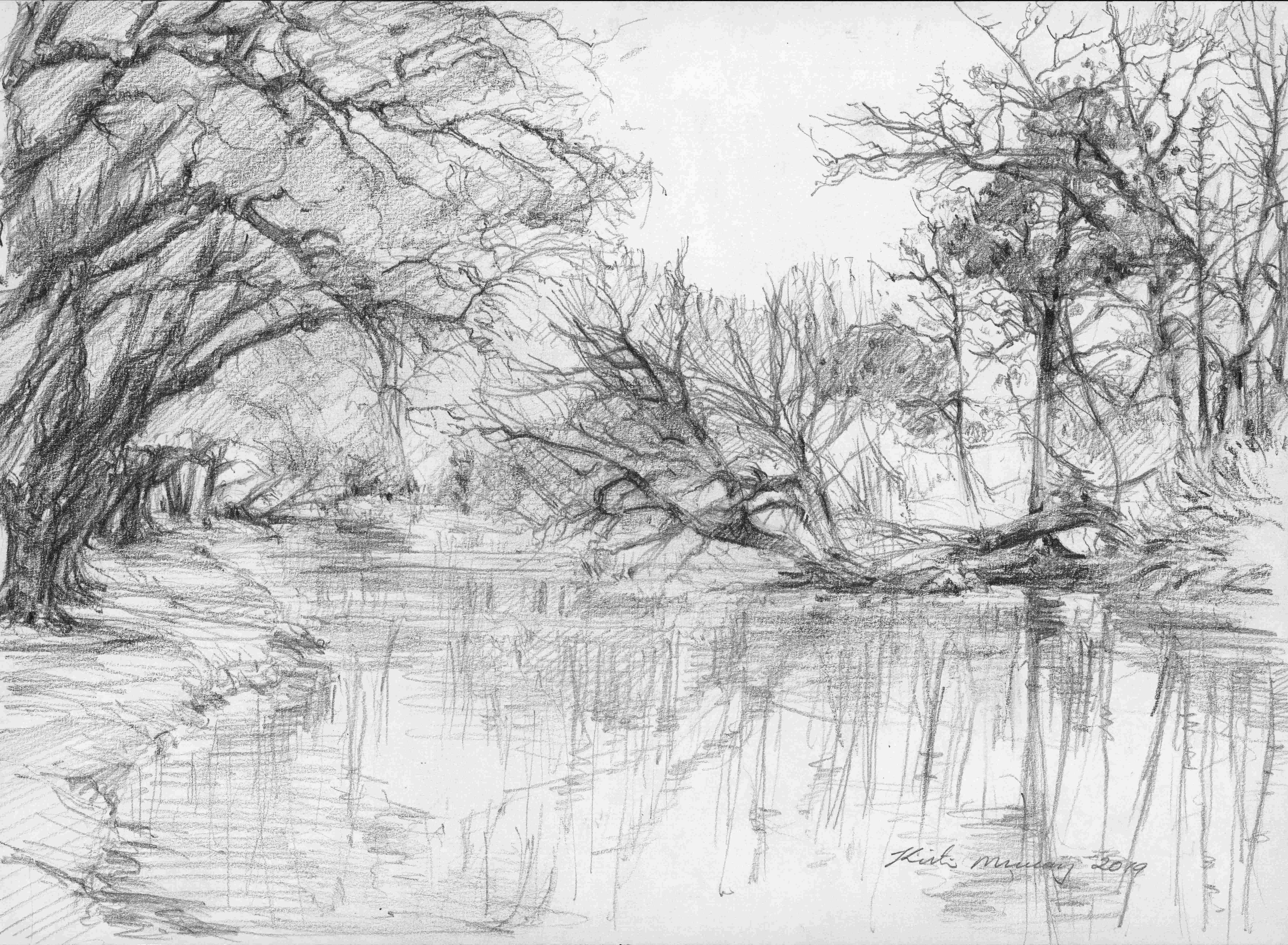 black and white drawing of a lake and  native shrubs.