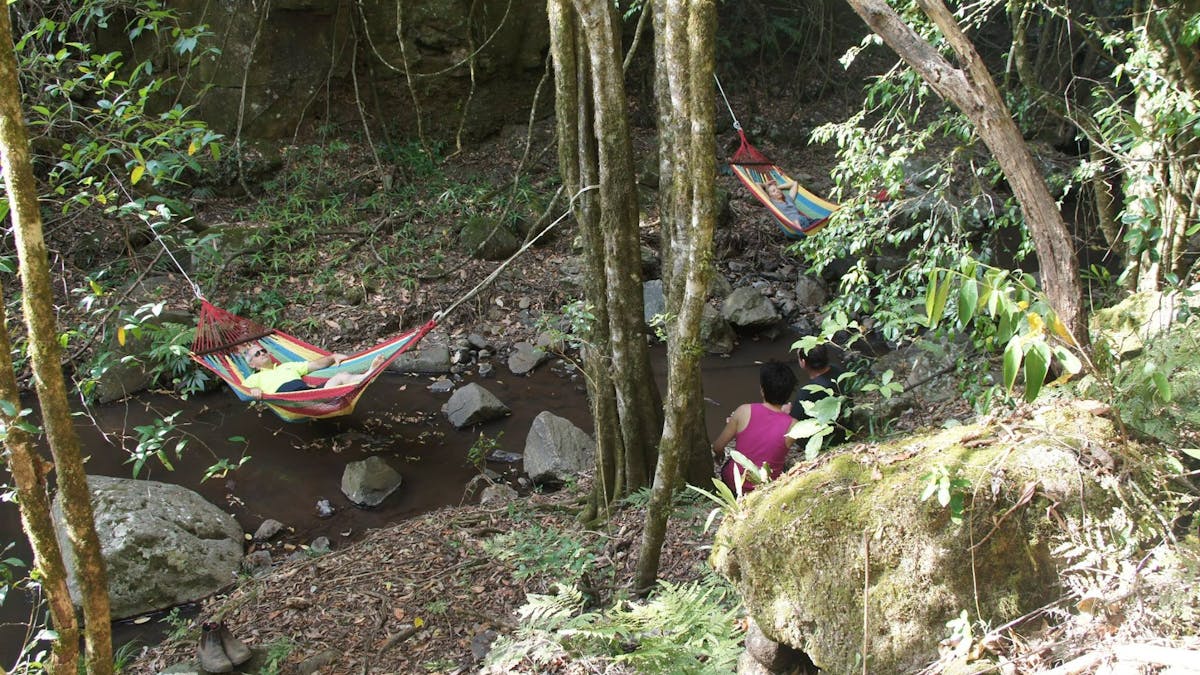 Resting in the hammocks over Adjinbilly Creek