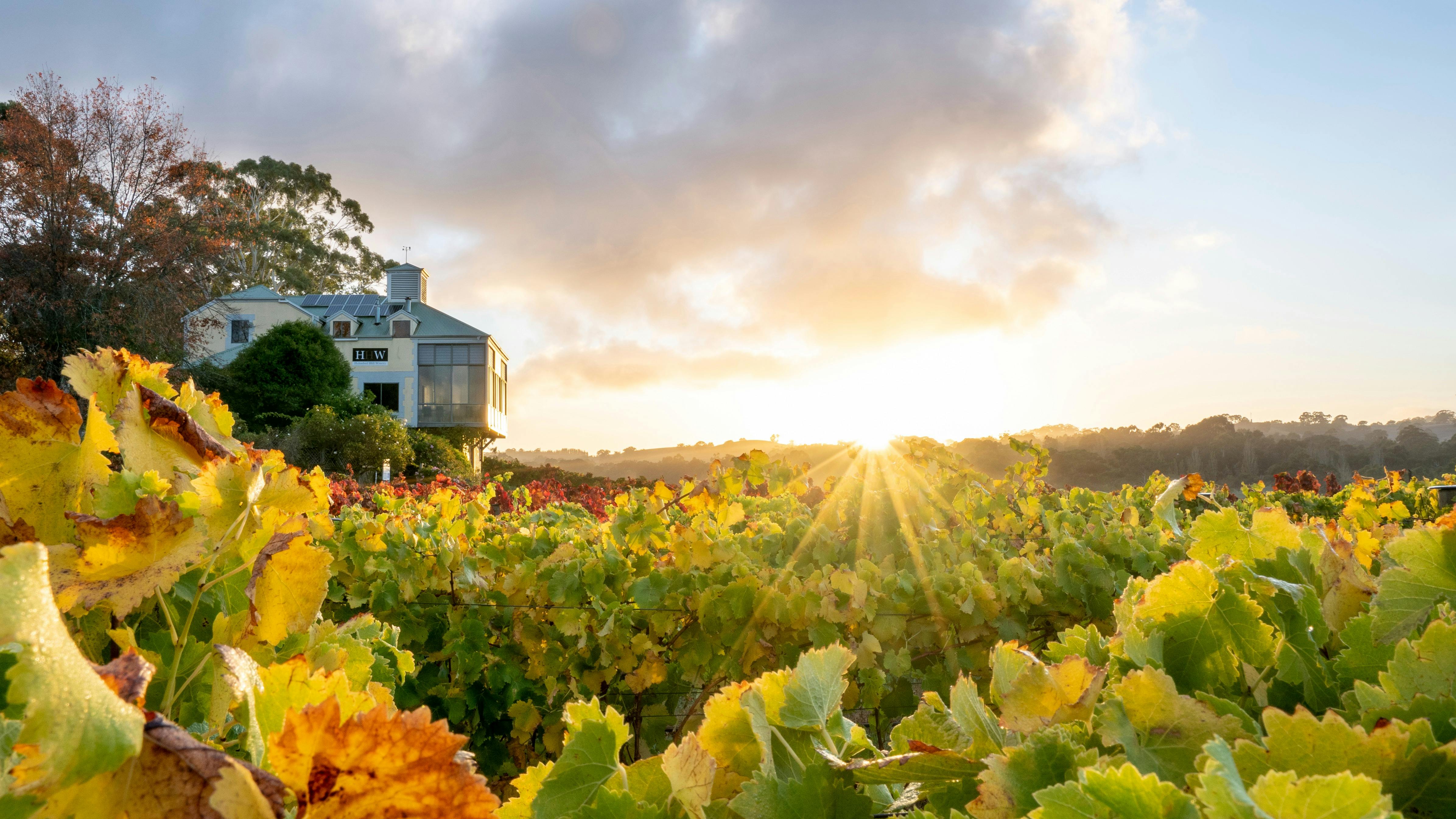 Adelaide Hills Wineries