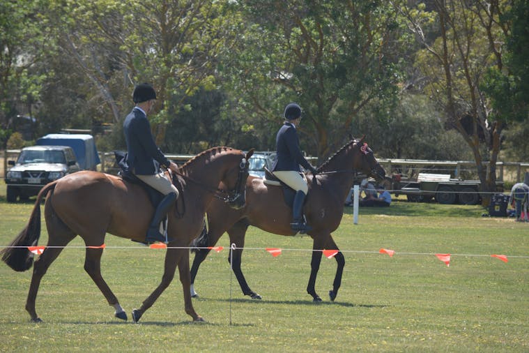 Yankalilla Show