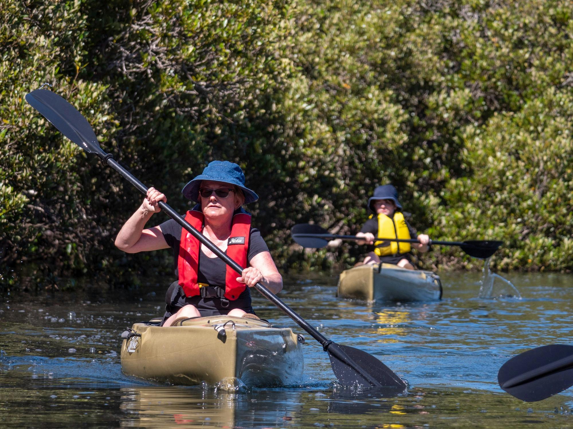 Two paddlers on Bermagui River