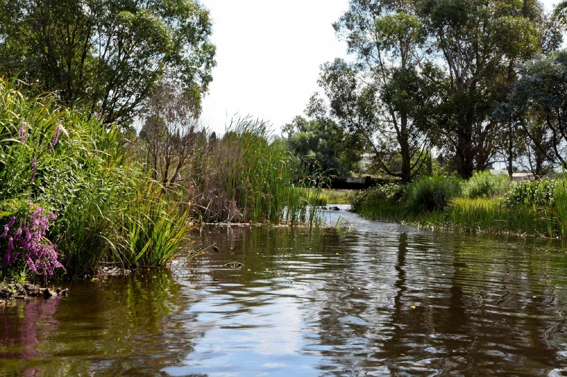 델리게이트 캐러밴 파크