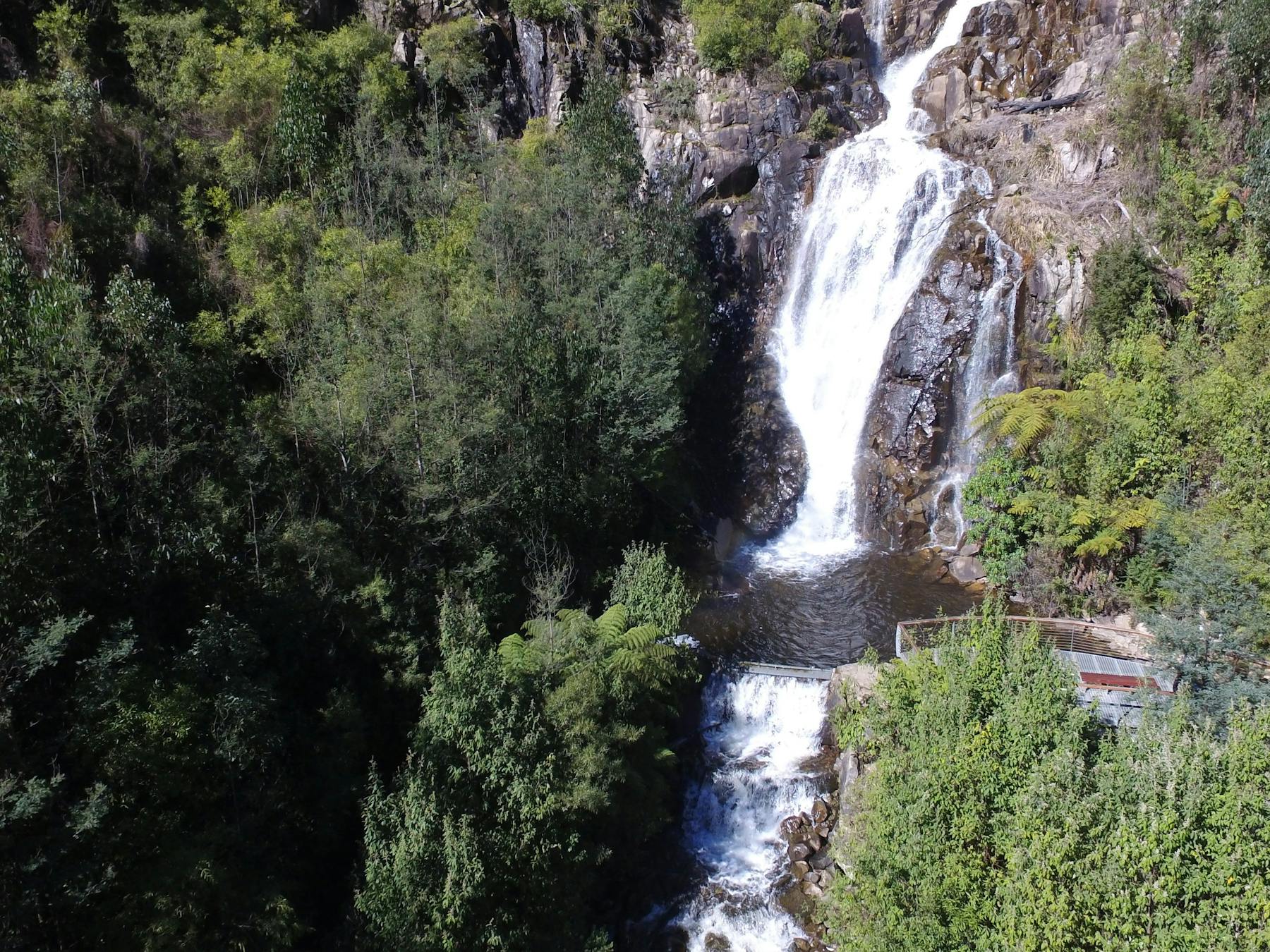 Steavenson Falls
