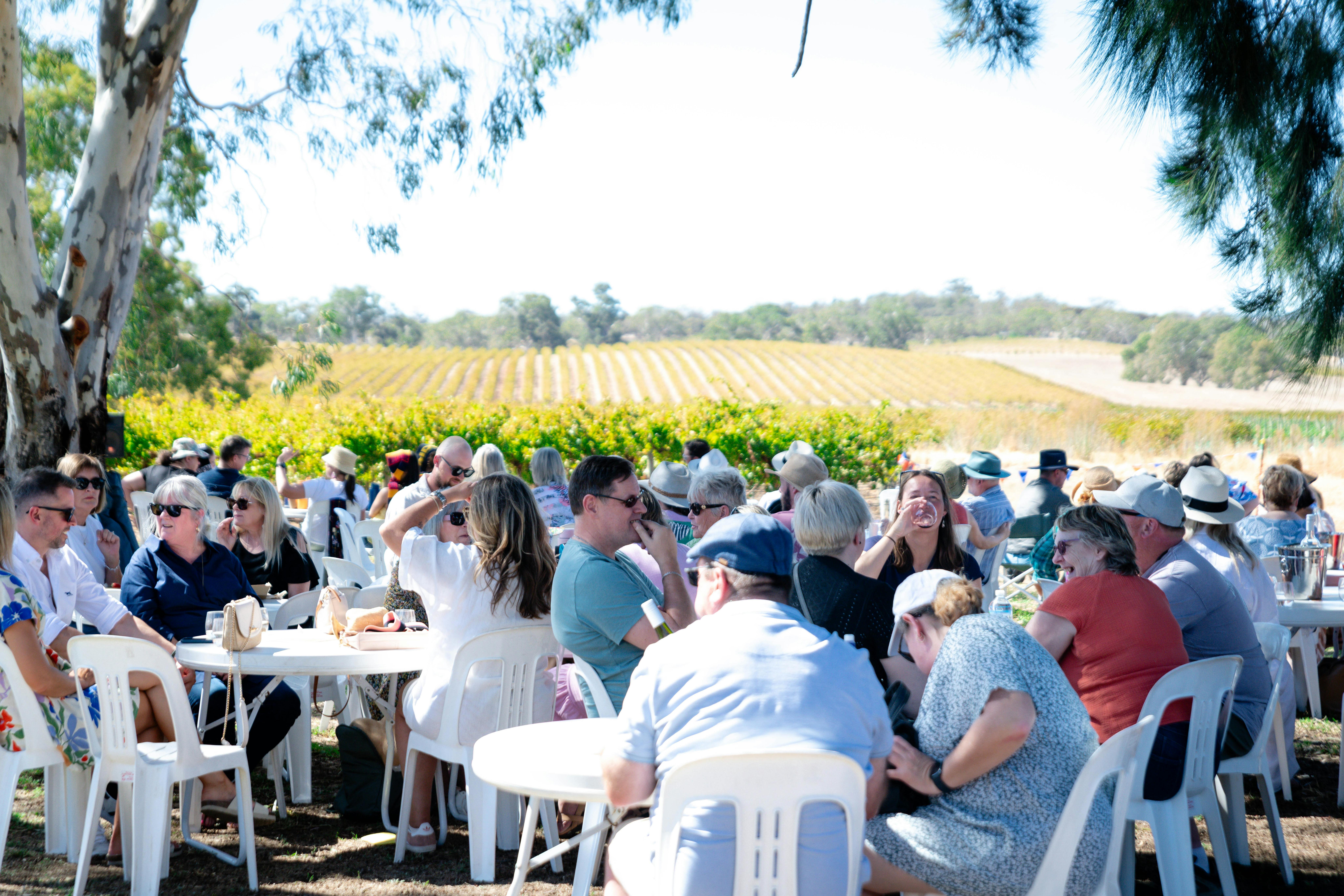 Budburst Music Festival Barossa