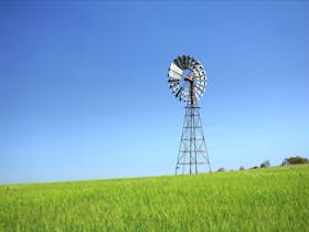 Millmerran Windmills