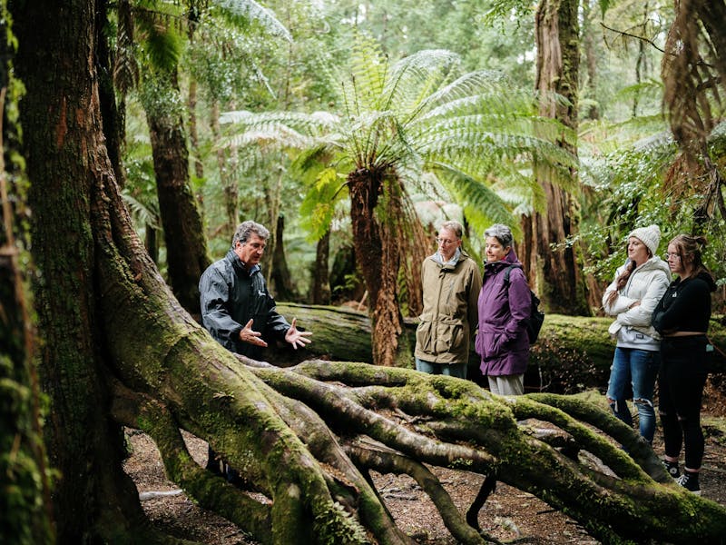 Rob explaining a unique tree at Trowutta Arch