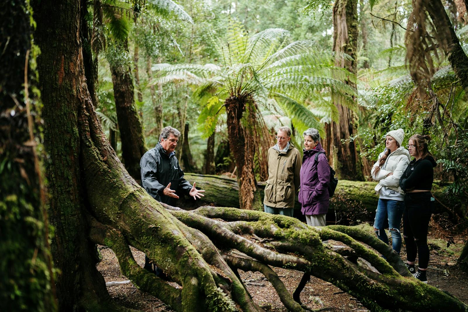 Tall Timbers Adventure Tours