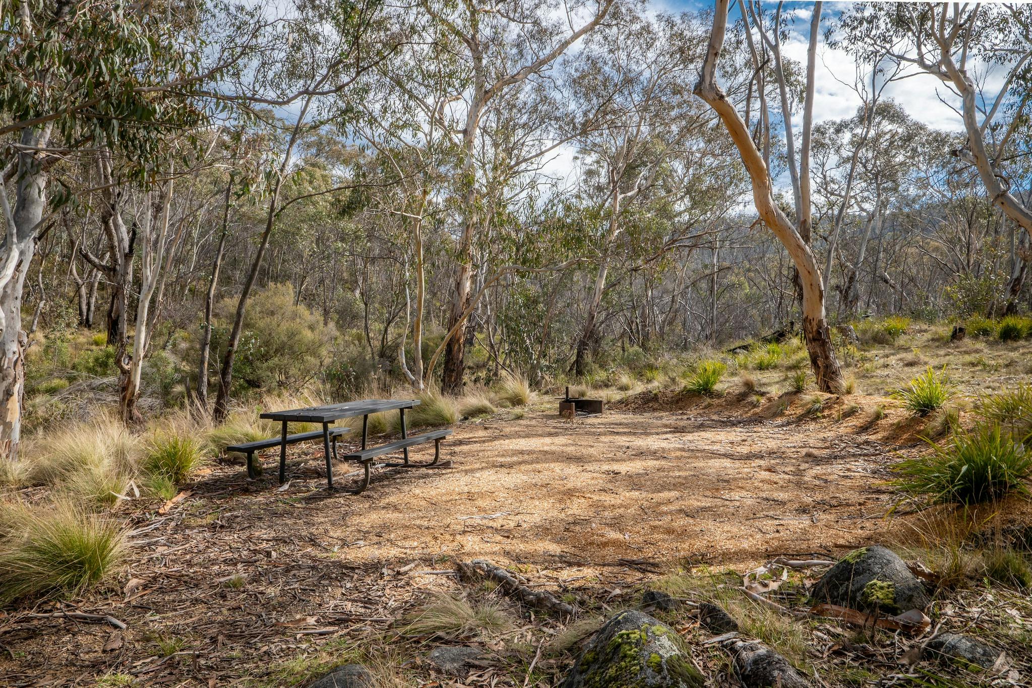 Camping site with picnic table