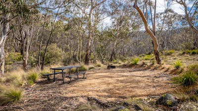 Camping site with picnic table