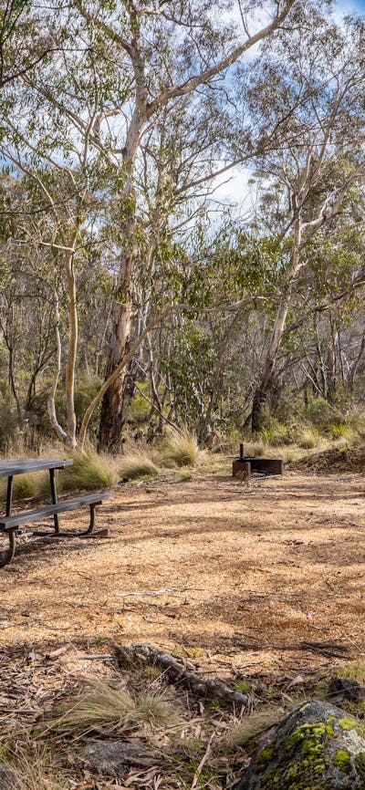 Camping site with picnic table