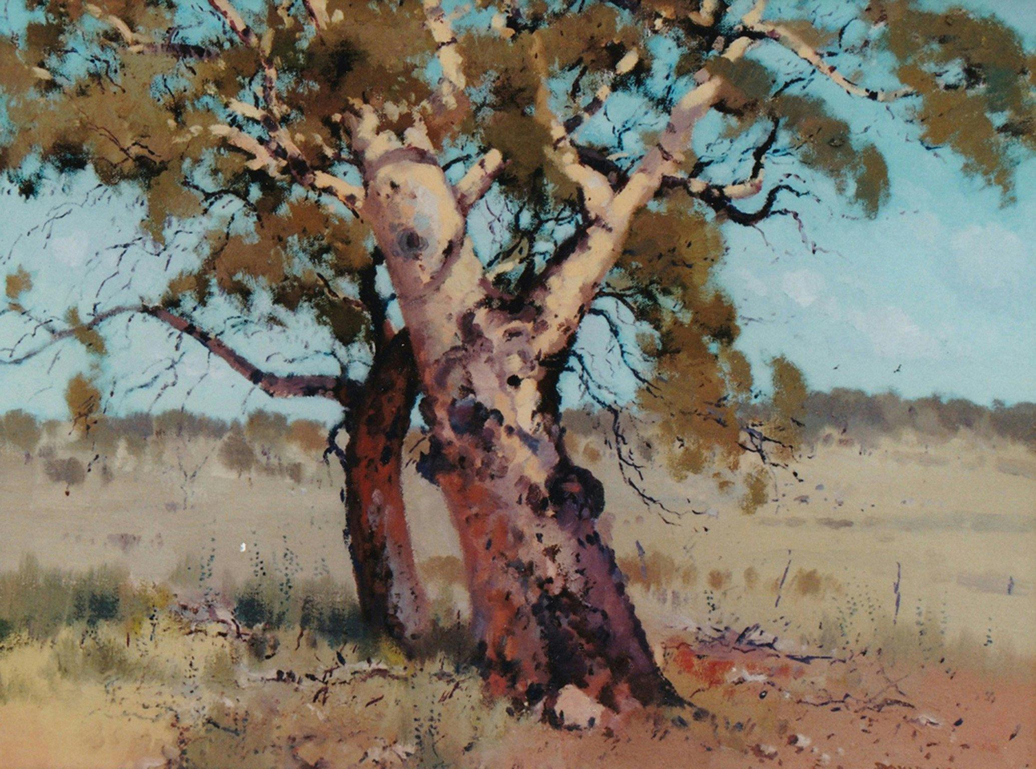 Oil painting of a gum tree by David Lake