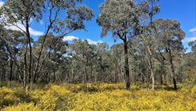 Greater Bendigo National Park