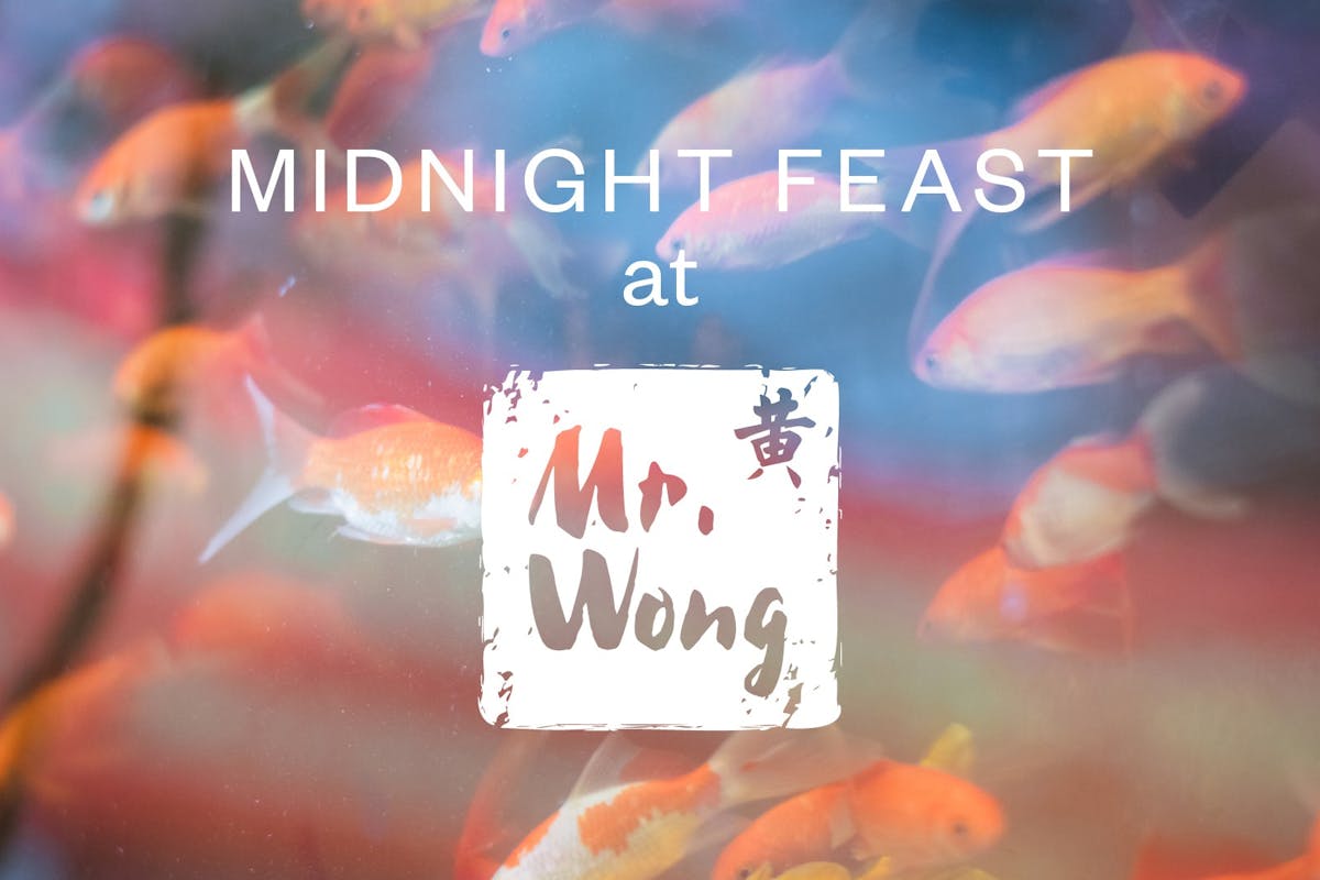 Photograph of a goldfish pond with ambient lights and textures, reading Midnight Feast at Mr. Wong