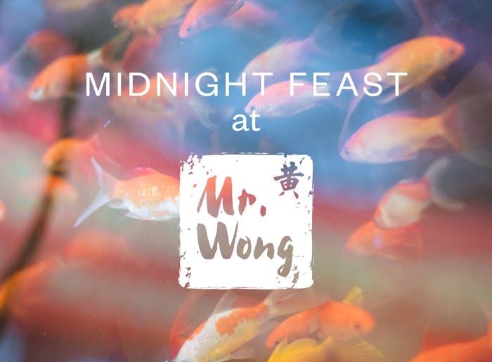 Photograph of a goldfish pond with ambient lights and textures, reading Midnight Feast at Mr. Wong