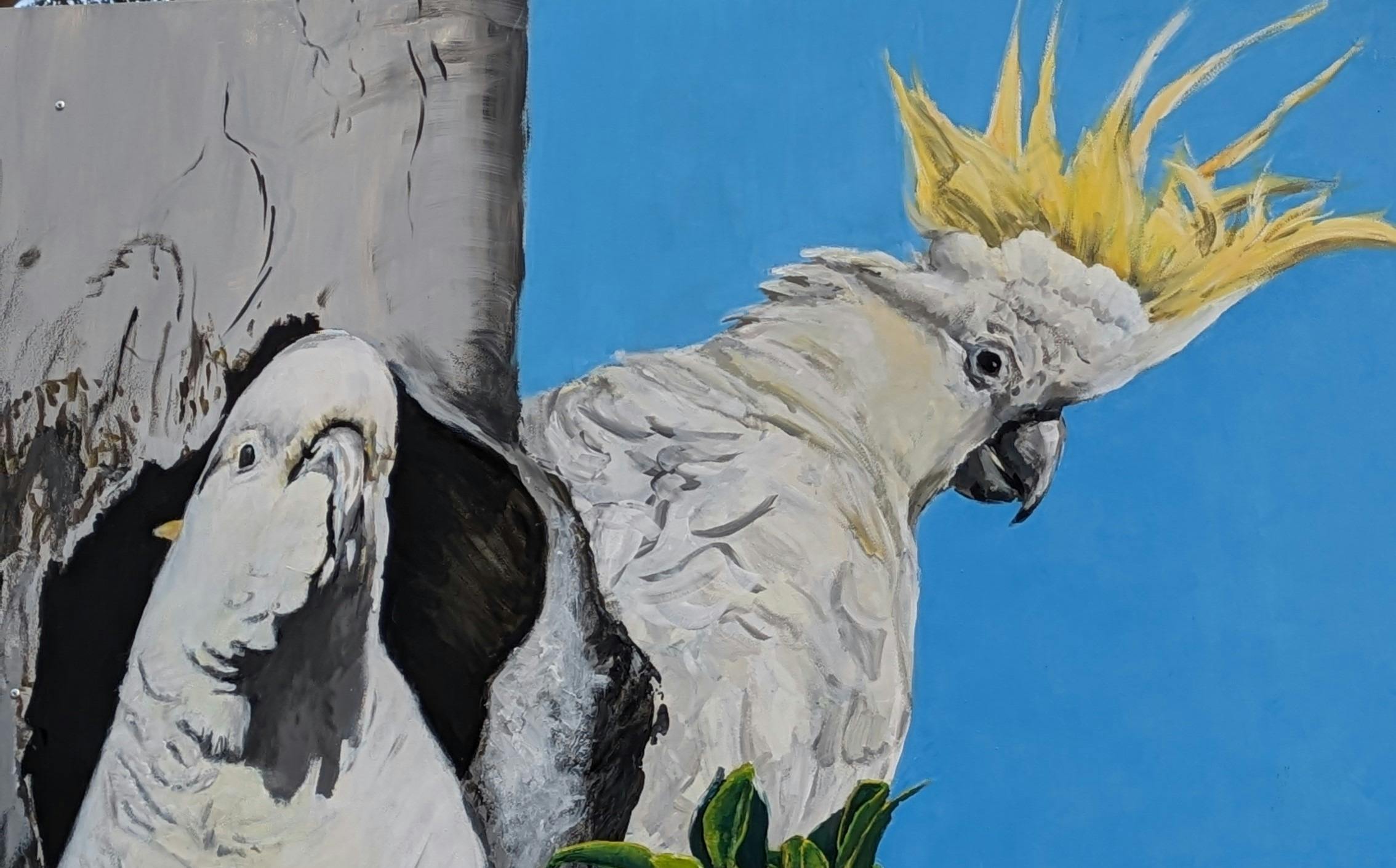 Mural of Cockatoo by Christine Pike at Gresford Arboretum