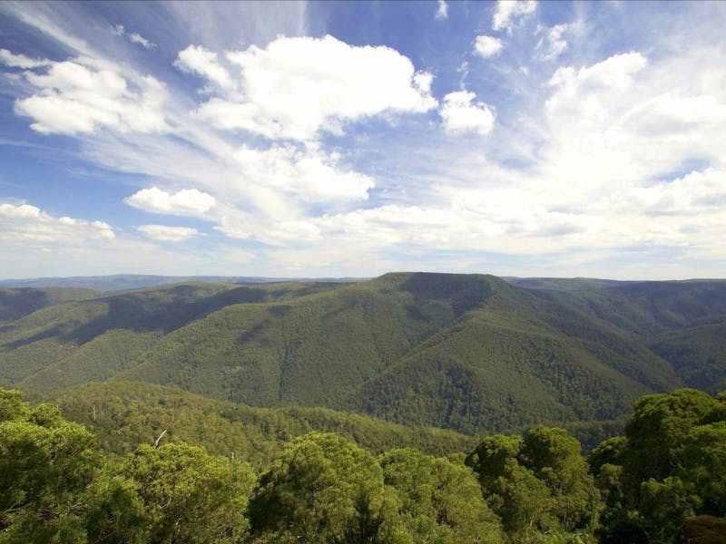 Barrington Tops National Park