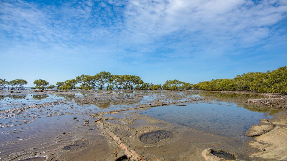 Shallow water covering flat rock formations