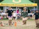 Children jumping high with hair flying  in a sack race at Spring Ditch 2023